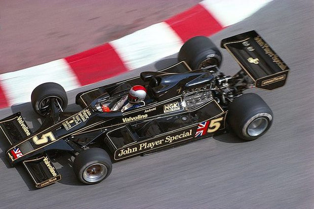 1978 Mario Andretti pair of front wings