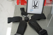 2010 Michael Schumacher Monaco GP Willians seat belts signed