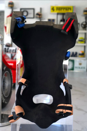 2007 Nico Rosberg Williams Carbon race used seat with seat belts