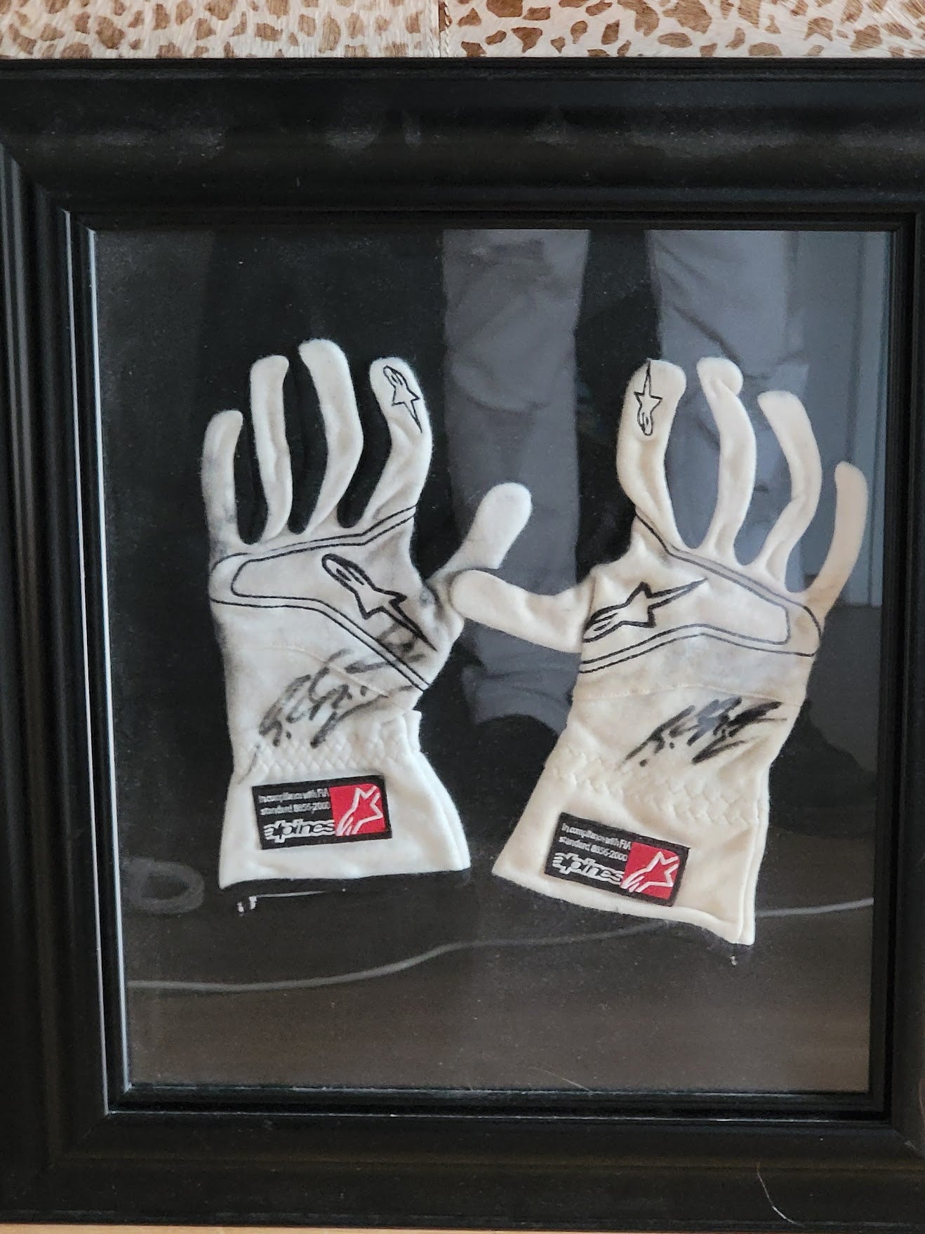 glove_1.jpg