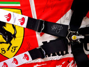2015 Sebastian Vettel Sabelt belts signed