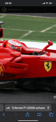 2003 Michael Schumacher Ferrari left rear view mirror