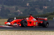 2001 Michael Schumacher Hungarian GP race used OMP winner gloves - Formula 1 Memorabilia