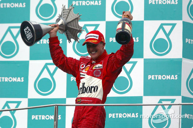 2004 Michael Schumacher Maylasian GP pass - Formula 1 Memorabilia